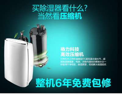 大松DH40EF 家庭智能除濕與高效干衣的理想之選